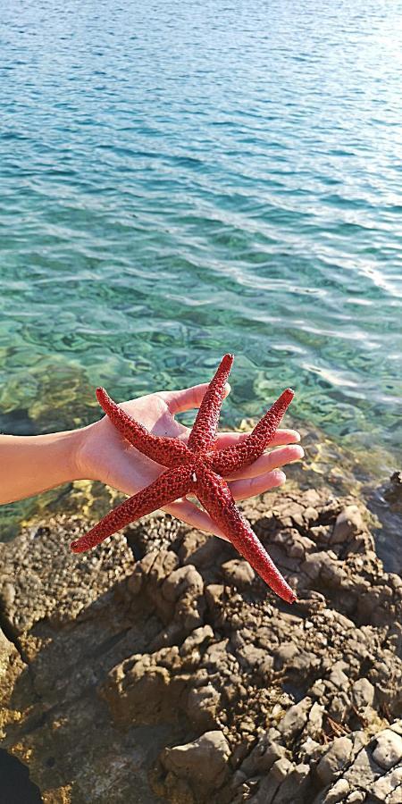 Boskovic Apartmán Stari Grad (Hvar)